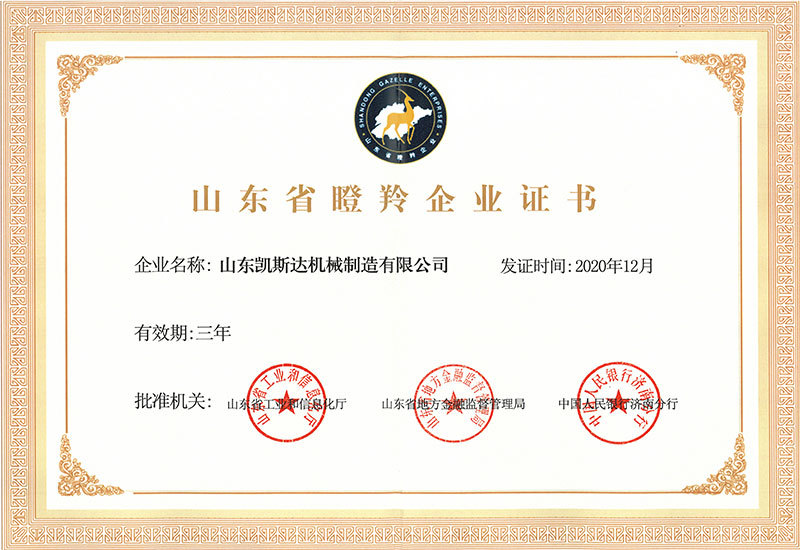 山東省瞪羚企業證書